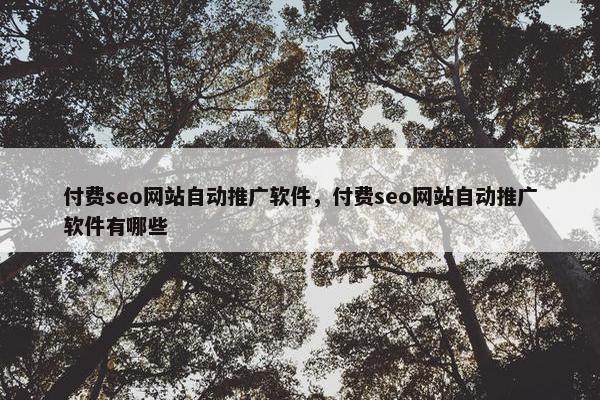 付费seo网站自动推广软件，付费seo网站自动推广软件有哪些