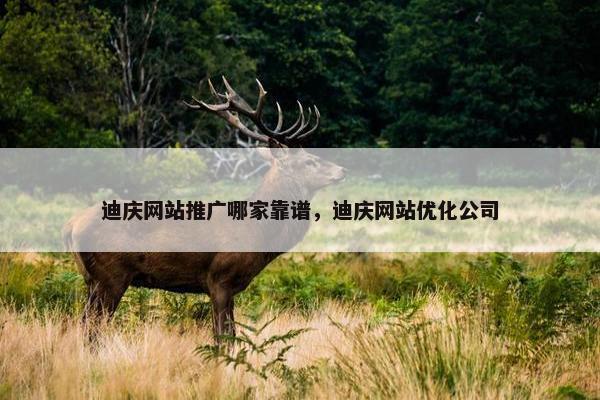 迪庆网站推广哪家靠谱，迪庆网站优化公司
