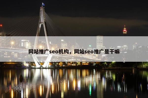 网站推广seo机构，网站seo推广是干嘛
