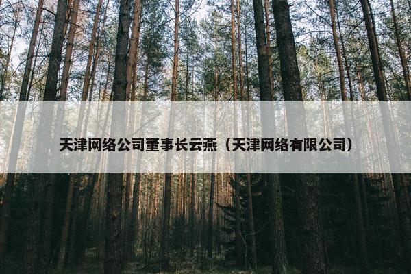 天津网络公司董事长云燕（天津网络有限公司）