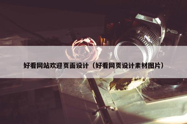 好看网站欢迎页面设计（好看网页设计素材图片）