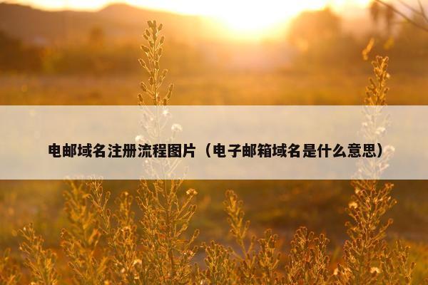 电邮域名注册流程图片（电子邮箱域名是什么意思）