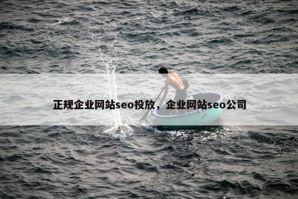 正规企业网站seo投放，企业网站seo公司