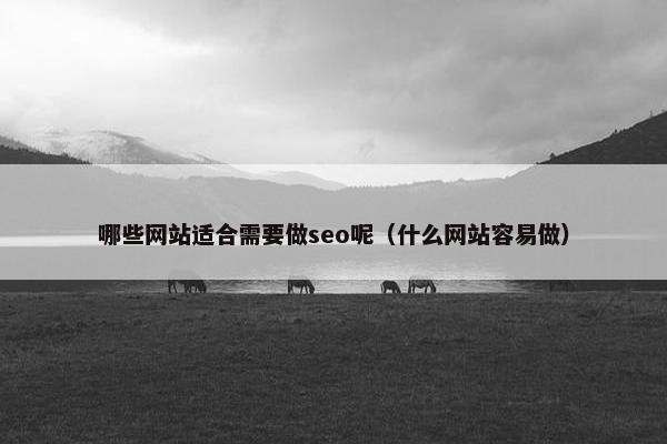 哪些网站适合需要做seo呢（什么网站容易做）