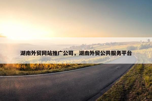 湖南外贸网站推广公司，湖南外贸公共服务平台