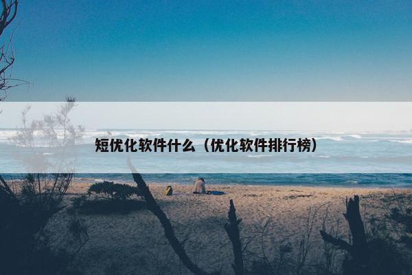 短优化软件什么（优化软件排行榜）