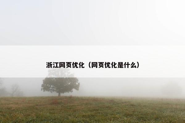 浙江网页优化（网页优化是什么）