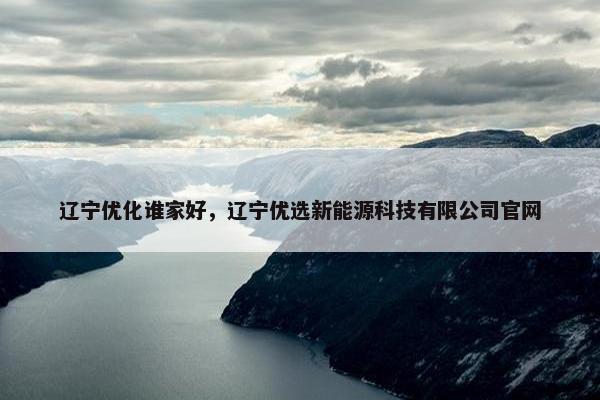 辽宁优化谁家好，辽宁优选新能源科技有限公司官网