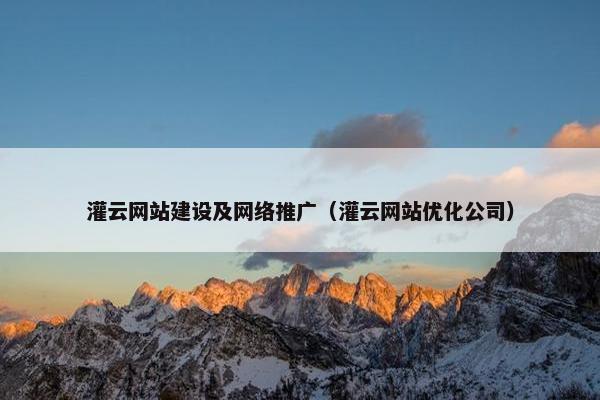 灌云网站建设及网络推广（灌云网站优化公司）
