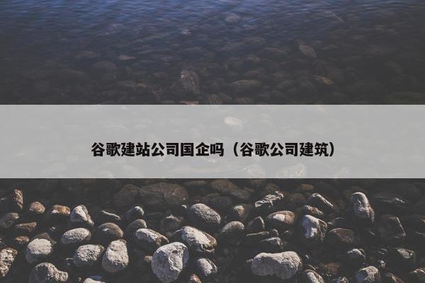 谷歌建站公司国企吗（谷歌公司建筑）