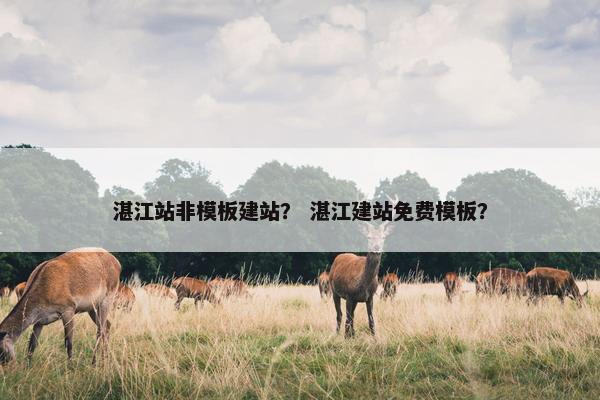 湛江站非模板建站？ 湛江建站免费模板？