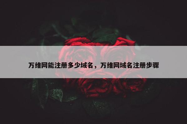 万维网能注册多少域名，万维网域名注册步骤
