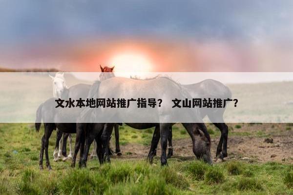 文水本地网站推广指导？ 文山网站推广？