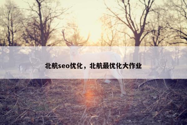 北航seo优化，北航最优化大作业