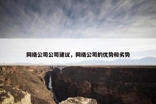 网络公司公司建议，网络公司的优势和劣势
