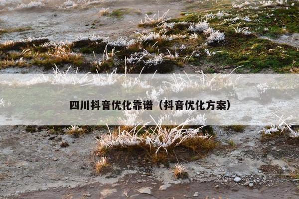 四川抖音优化靠谱（抖音优化方案）