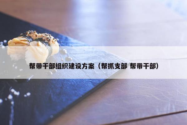 帮带干部组织建设方案（帮抓支部 帮带干部）
