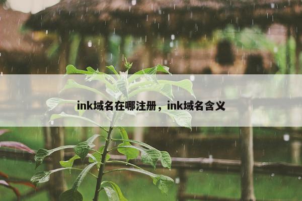 ink域名在哪注册，ink域名含义