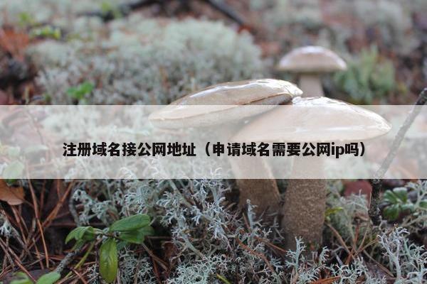 注册域名接公网地址（申请域名需要公网ip吗）