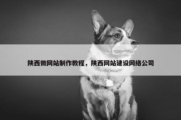 陕西微网站制作教程，陕西网站建设网络公司