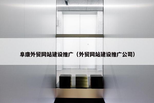 阜康外贸网站建设推广（外贸网站建设推广公司）