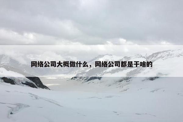 网络公司大概做什么，网络公司都是干啥的
