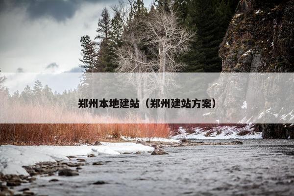 郑州本地建站（郑州建站方案）