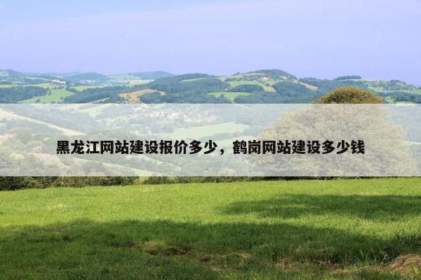 黑龙江网站建设报价多少，鹤岗网站建设多少钱