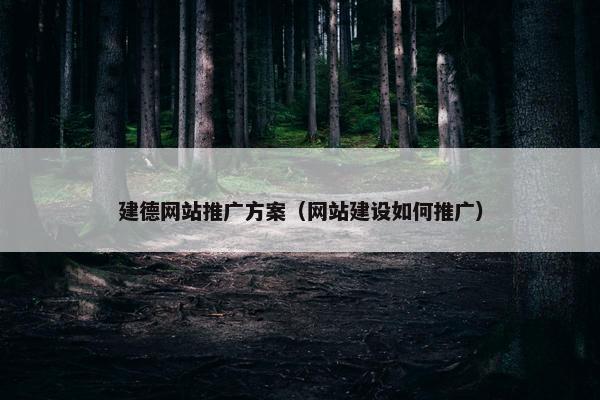 建德网站推广方案（网站建设如何推广）