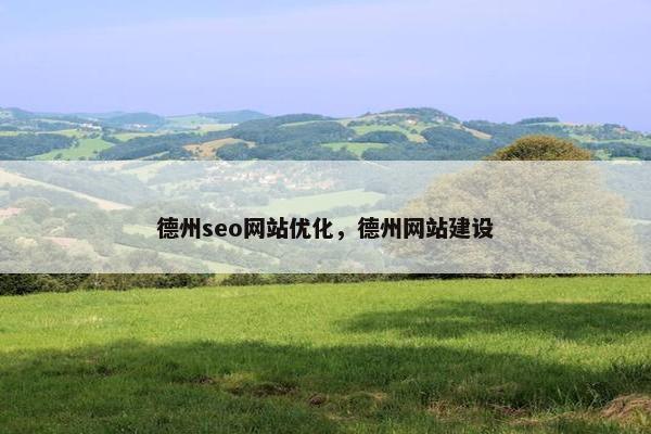 德州seo网站优化，德州网站建设
