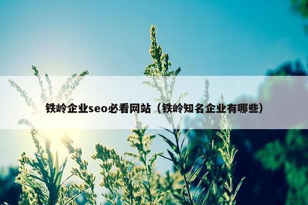 铁岭企业seo必看网站（铁岭知名企业有哪些）