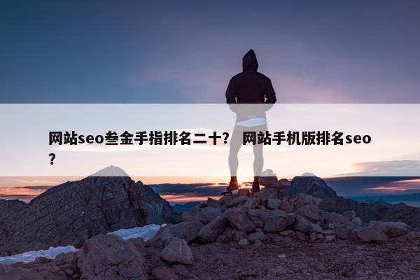 网站seo叁金手指排名二十？ 网站手机版排名seo？