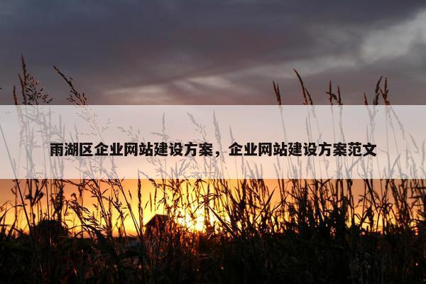 雨湖区企业网站建设方案，企业网站建设方案范文