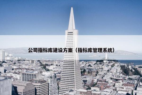 公司指标库建设方案（指标库管理系统）