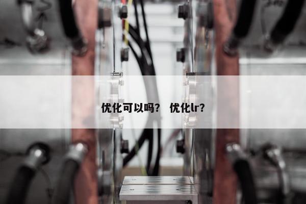 优化可以吗？ 优化lr？