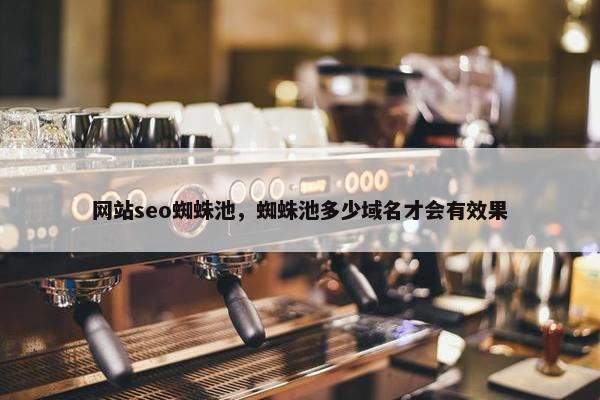 网站seo蜘蛛池，蜘蛛池多少域名才会有效果