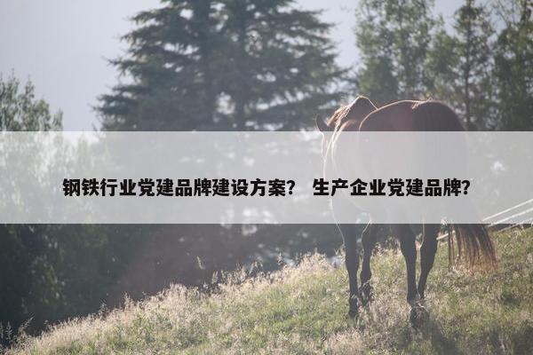 钢铁行业党建品牌建设方案？ 生产企业党建品牌？