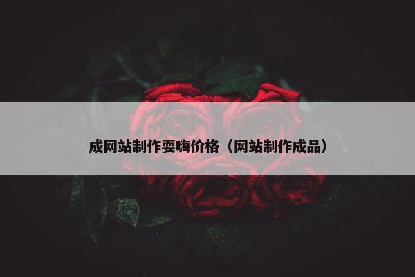 成网站制作耍嗨价格（网站制作成品）