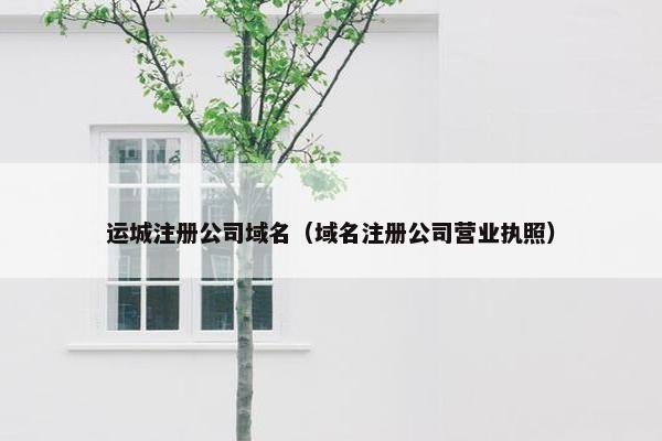 运城注册公司域名（域名注册公司营业执照）