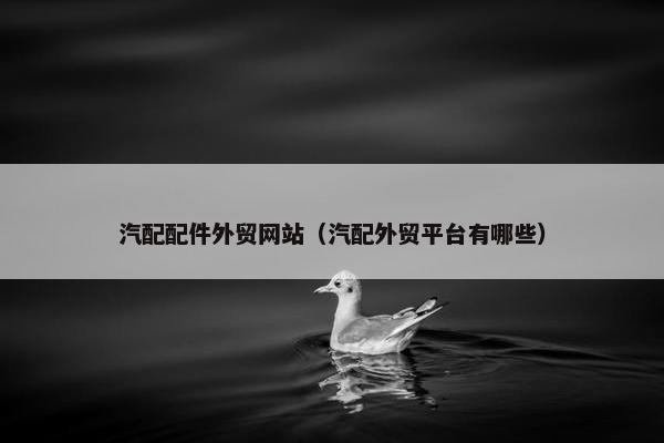 汽配配件外贸网站（汽配外贸平台有哪些）