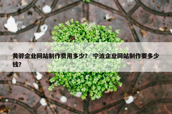 黄骅企业网站制作费用多少？ 宁波企业网站制作要多少钱？