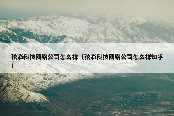 弦彩科技网络公司怎么样（弦彩科技网络公司怎么样知乎）