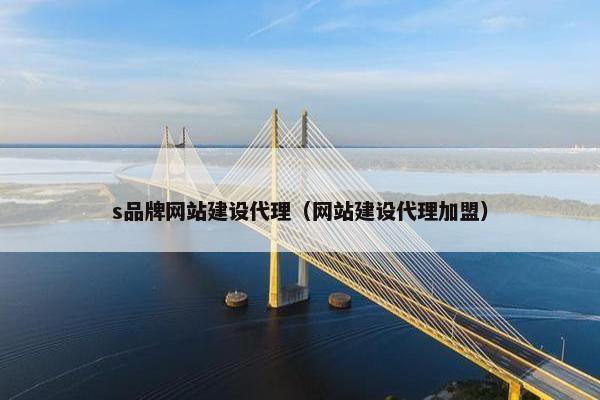s品牌网站建设代理（网站建设代理加盟）