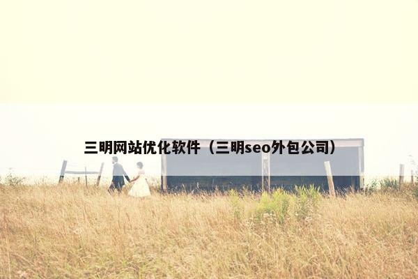 三明网站优化软件（三明seo外包公司）