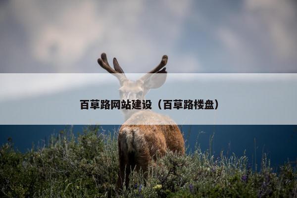 百草路网站建设（百草路楼盘）