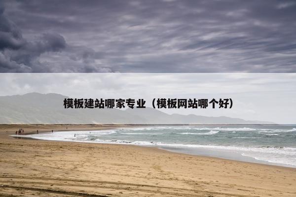 模板建站哪家专业（模板网站哪个好）