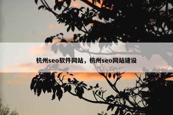 杭州seo软件网站，杭州seo网站建设
