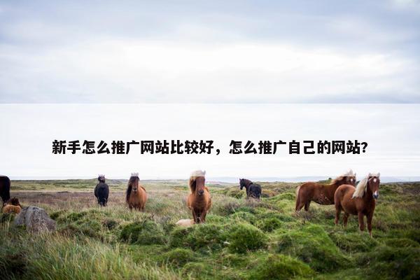 新手怎么推广网站比较好，怎么推广自己的网站?