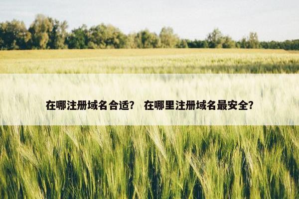 在哪注册域名合适？ 在哪里注册域名最安全？