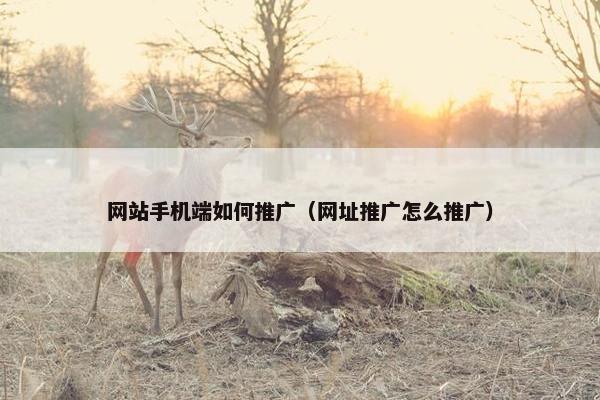 网站手机端如何推广（网址推广怎么推广）